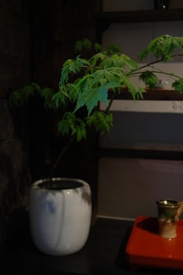 植木鉢火鉢1.jpg