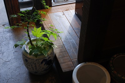 植木鉢火鉢3.jpg