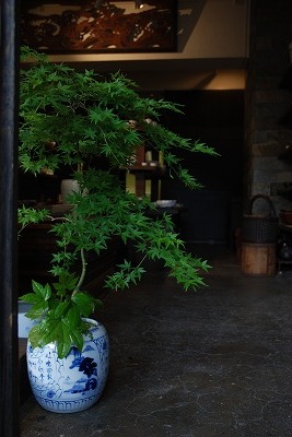 植木鉢火鉢4.jpg