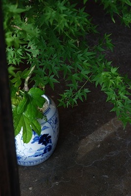 植木鉢火鉢5.jpg