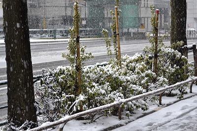 DSC_0001.jpg